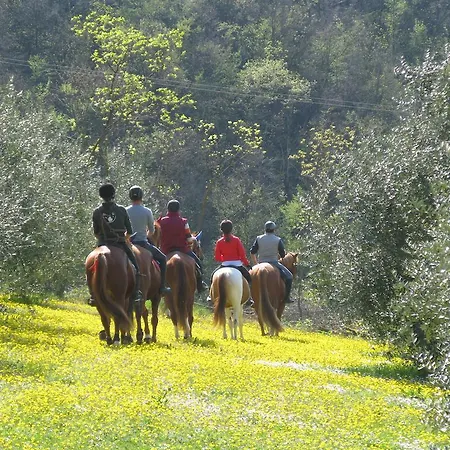 Bed & Breakfast Paglia E Fieno Villaga