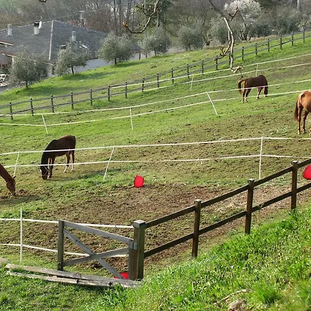 Bed & Breakfast Paglia E Fieno