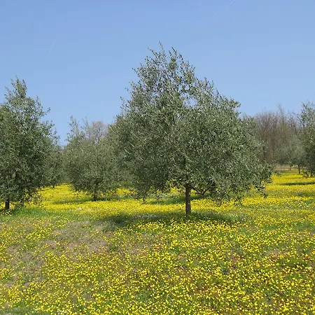 Bed & Breakfast Paglia E Fieno Villaga