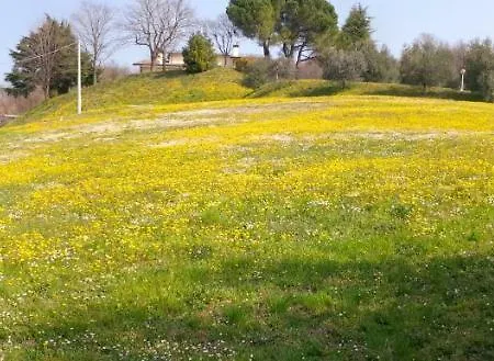 Bed & Breakfast Paglia E Fieno Villaga